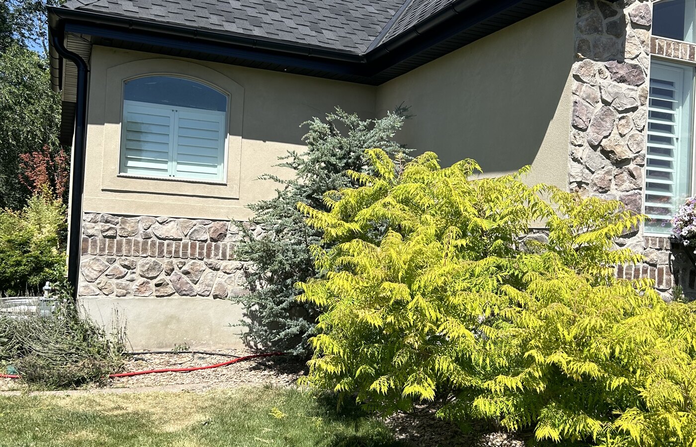 Gutter Cleaning